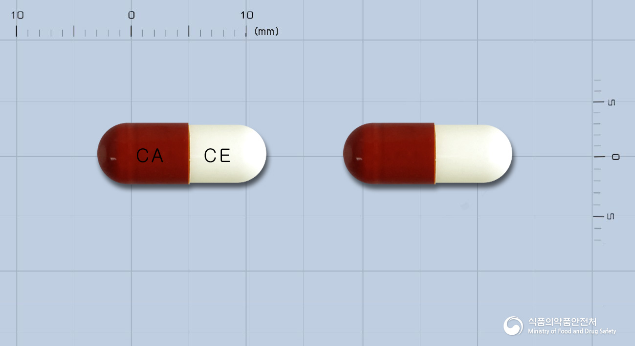 세파캡슐250mg(세파클러수화물)