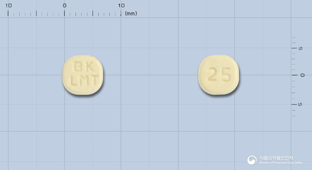 라모티진정25밀리그램
(라모트리진)