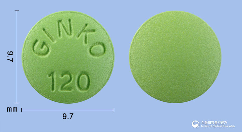 진큐크린정120mg(은행엽건조엑스)