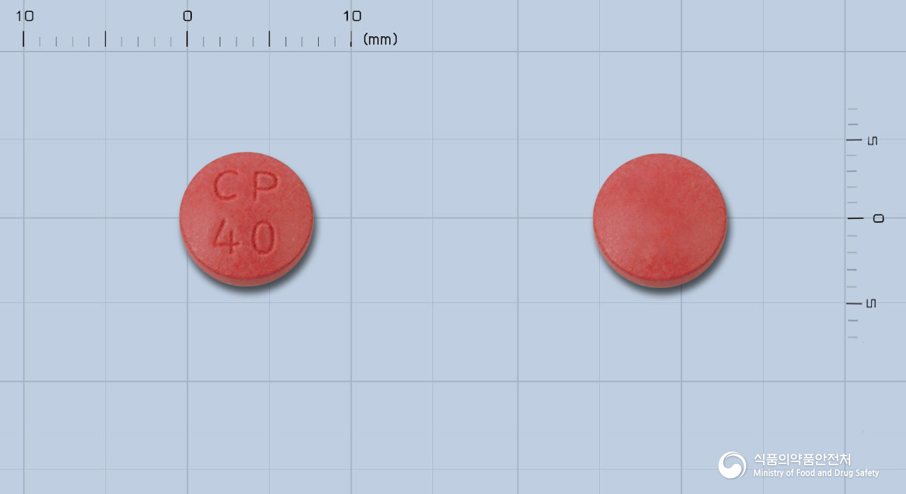 징코미란정40mg(은행엽건조엑스)(수출용)