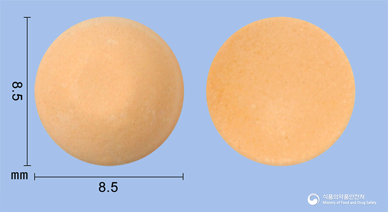 나제아오디정0.1mg(라모세트론염산염)