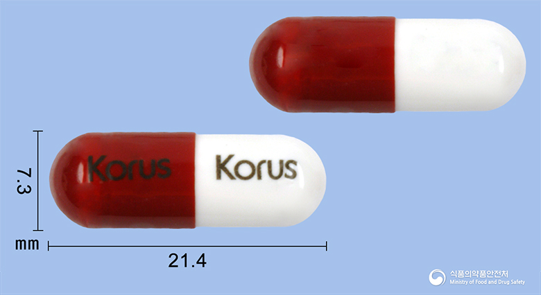 세파실캡슐(세파드록실일수화물)(수출명:1.CEXILCAP.2.RUSEFASTCap.3.ZICORAXILCap.4.CFD500Cap.)