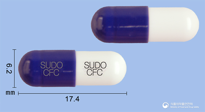 팜젠세파클러캡슐250mg(수출명:수클러캡슐250mg,파시클러캡슐250mg)